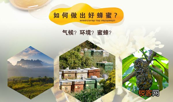 你真的了解蜂蜜吗？