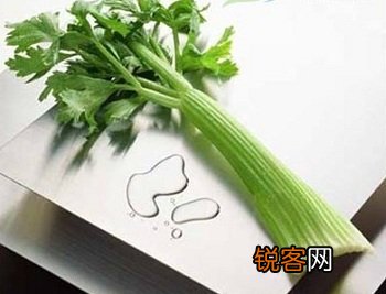 吃芹菜可以减肥