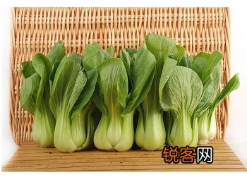 油菜的功效与作用