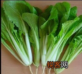 小白菜的营养价值及功效
