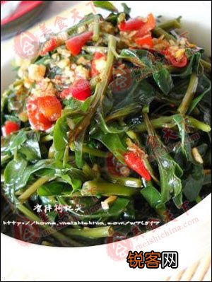 养胃—减饭量别贪凉