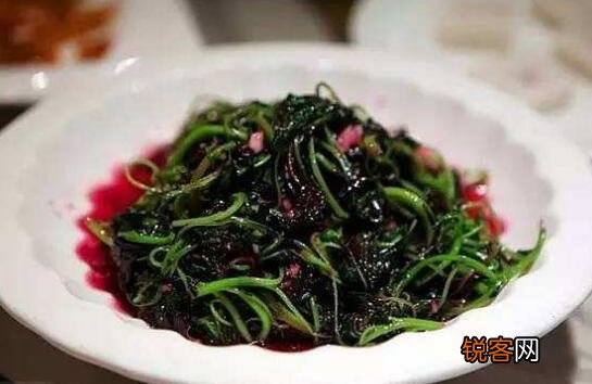荠荠菜的作用与功效及禁忌