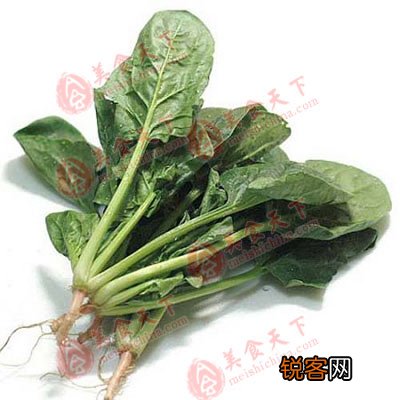 春季最适合吃的十五种食物