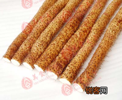 春季最适合吃的十五种食物
