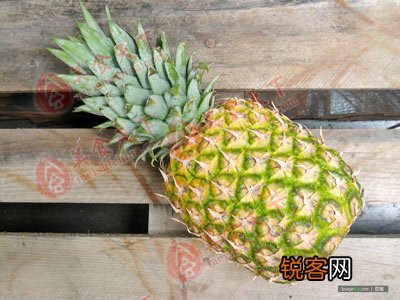 春季最适合吃的十五种食物