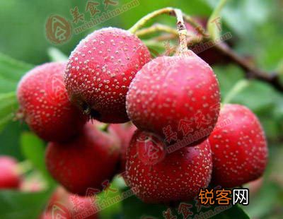 春季最适合吃的十五种食物