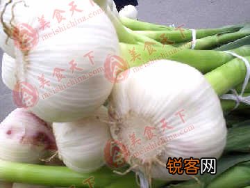 春季最适合吃的十五种食物