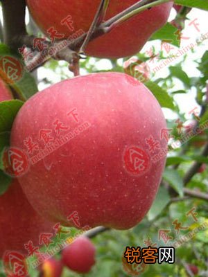 14个简单饮食习惯让你受益终生