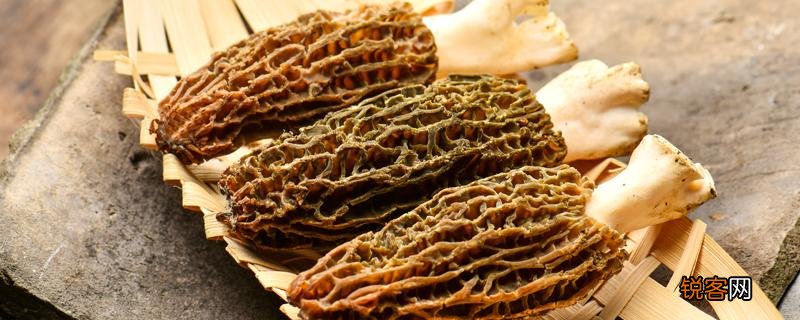 羊肚菌起霉灰还能吃吗 如何判断羊肚菌已发霉!