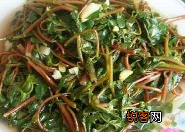 野菜的吃法注意