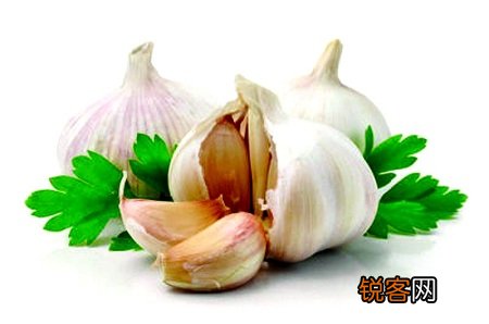 大蒜的营养价值及做法