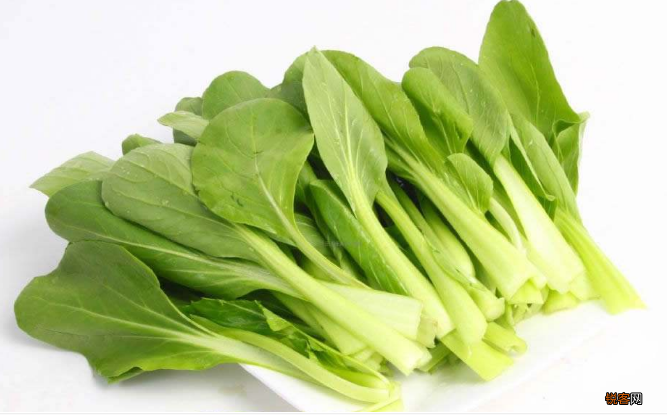 教你5种小白菜的家常吃法 小白菜怎样做好吃