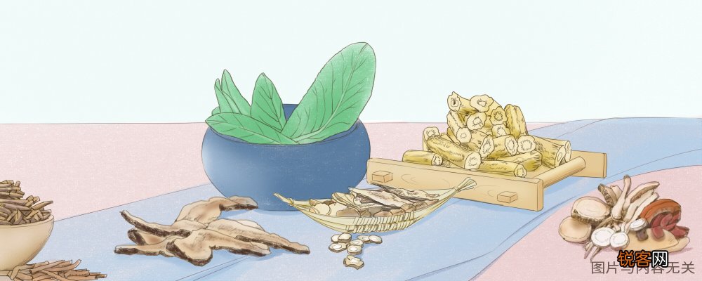 腊瓣花的功效与作用