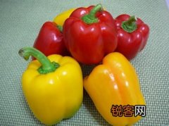 甜椒的营养功效及做法