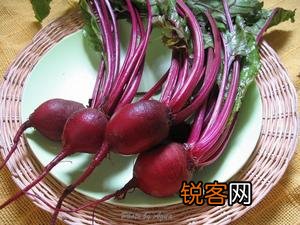 甜菜的饮食百科