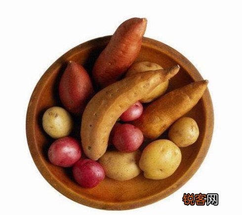 食物的属性一览表