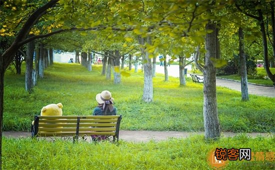 明月珰最好看的小说是哪一本 明月珰小说哪本好看
