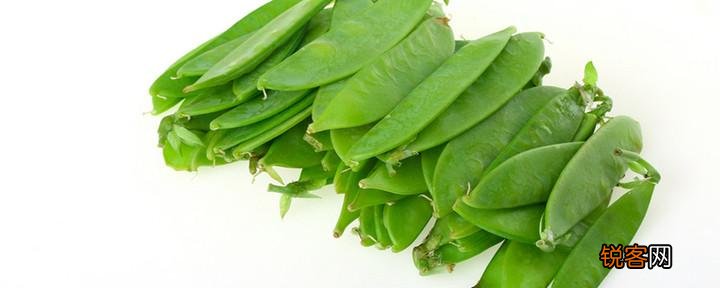 荷兰豆放冰箱可以保存多久 荷兰豆怎么保存