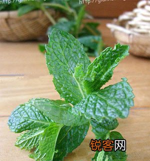 10种食物最伤胃