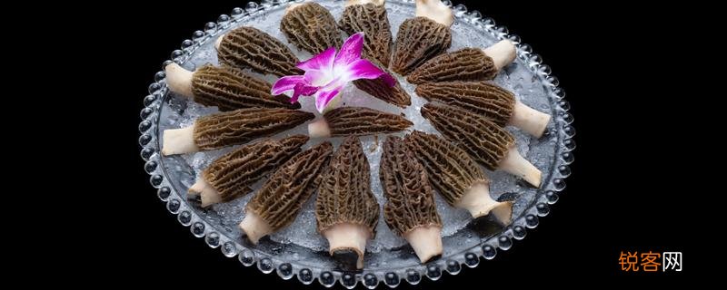 羊肚菌可以和枸杞一起炖吗 羊肚菌红枣枸杞排骨汤功效!