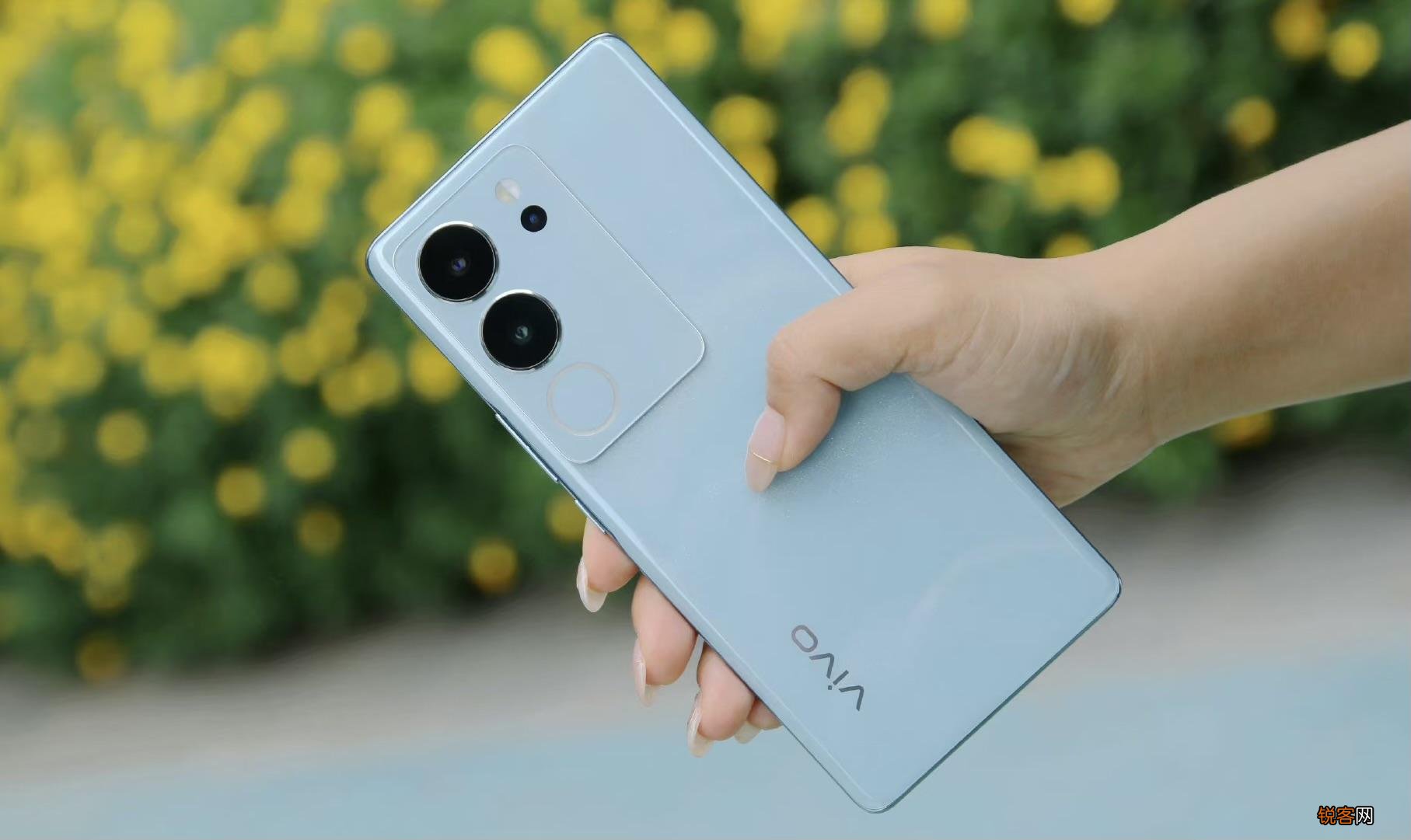 vivoS17和vivoS17Pro哪个好 vivoS17和vivoS17Pro对比