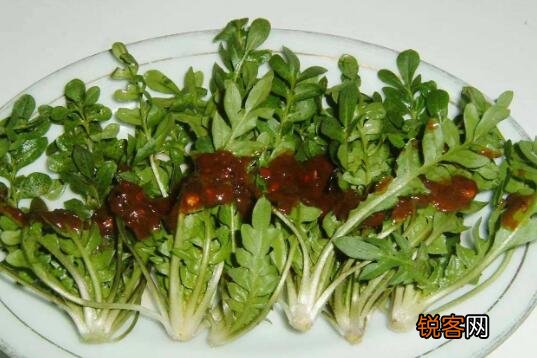 什么人不能吃茼蒿 吃茼蒿的禁忌
