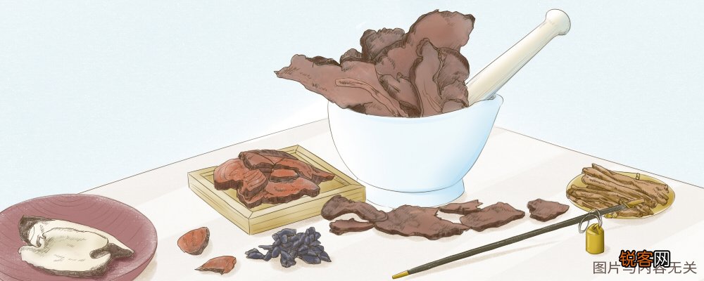 虾须草的功效与作用