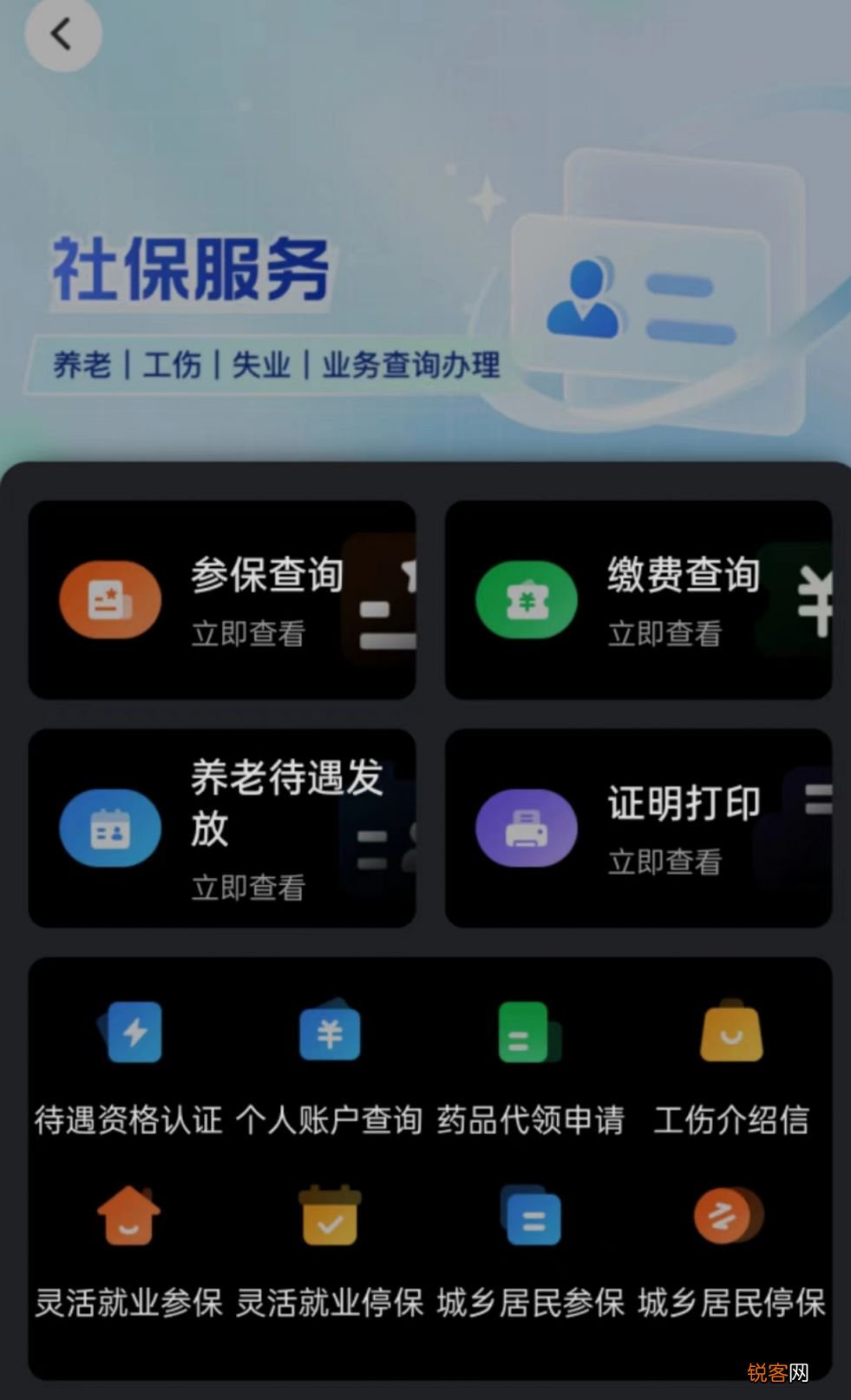 岳阳市个人养老保险缴费查询