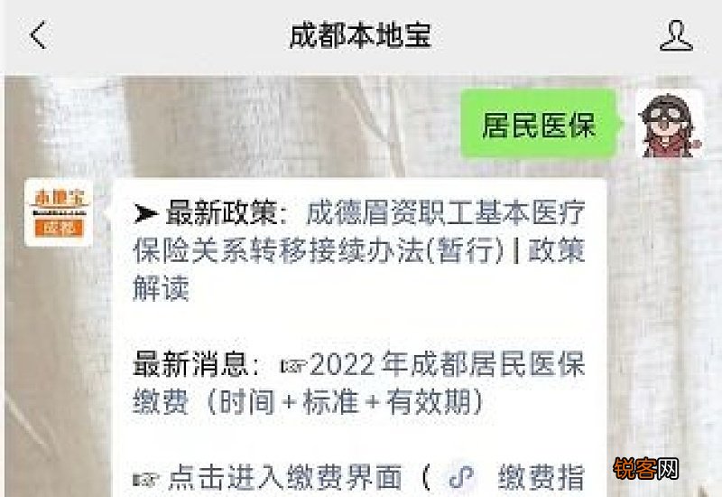 宜昌市城乡居民医保网上查询指南