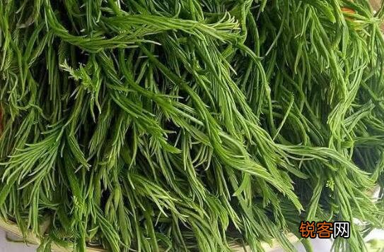 臭菜如何吃 吃臭菜有哪些好处呢和弊端