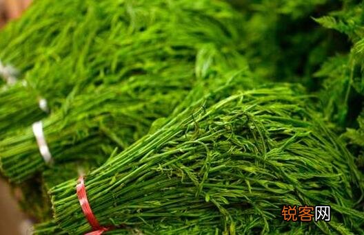 臭菜如何吃 吃臭菜有哪些好处呢和弊端