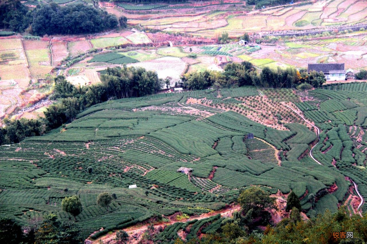 已完结乡土种田类农场流都市小说 乡村小说排行榜版
