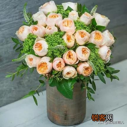 全世界最贵的月季花价格 朱丽叶玫瑰多少钱一支